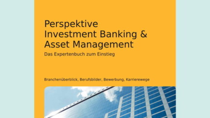 Karriere-Ratgeber Perspektive Investment Banking & Asset Management [Quelle: e-fellows.net]