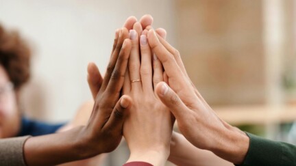 Hände in verschiedenen Hautfarben - Rainbow-Online-Career-Day