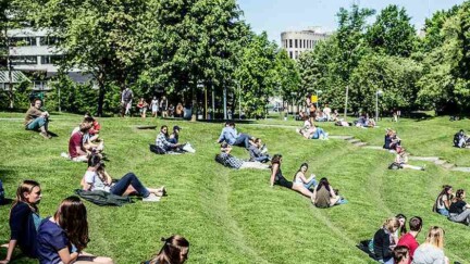 Studierende sitzen im Park der Brussels School of Governance