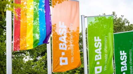 Flaggen, Regenboggenflagge, BASF