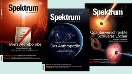 Spektrum der Wissenschaft Cover Logo