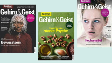 Gehirn und Geist Cover Logo